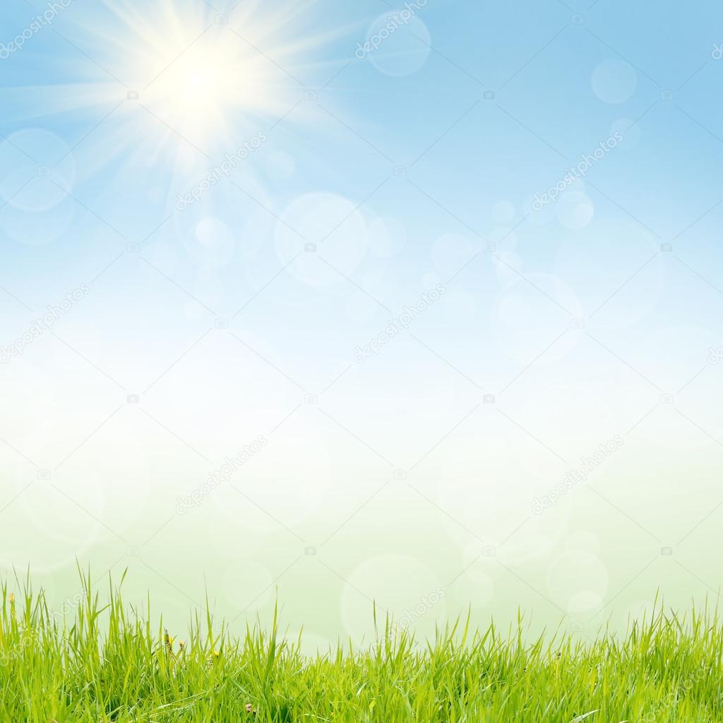 Green nature background at summer