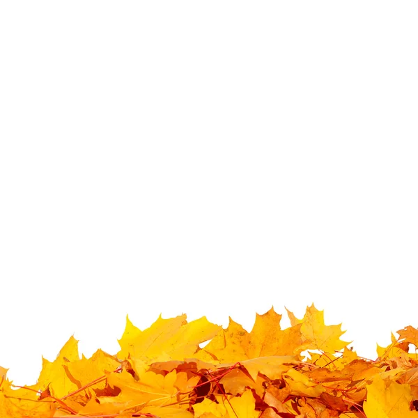 Kleurrijke herfst gebladerte frame — Stockfoto