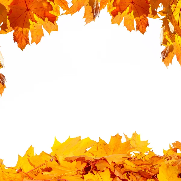 Colorful autumn foliage frame — Stock Photo, Image