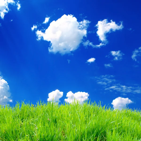 Campo verde com céu — Fotografia de Stock