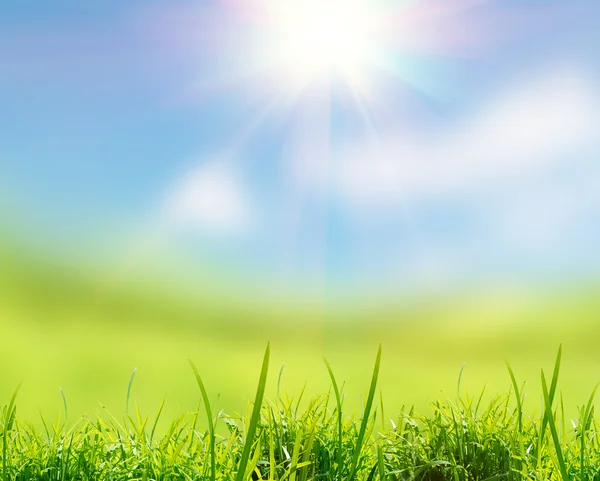 Green grass with sky — Stock Photo, Image