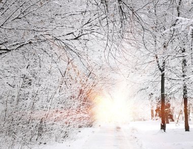 Güzel kış manzarası