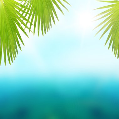 Yaz deniz ve palmiye yaprakları