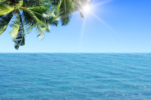 Palm leaves over tropical beach — Stock Photo, Image