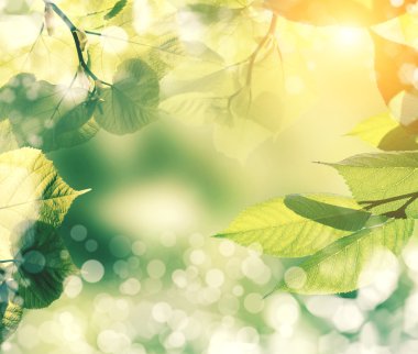 Soyut doğal arkaplan