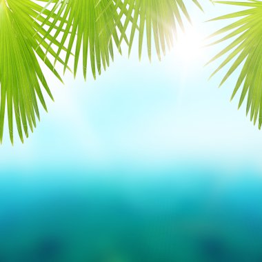 Yaz deniz ve palmiye yaprakları