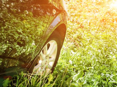 Alanın ortasında Siyah araba