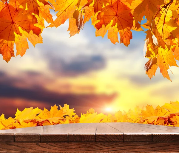 Outono folhas fundo — Fotografia de Stock