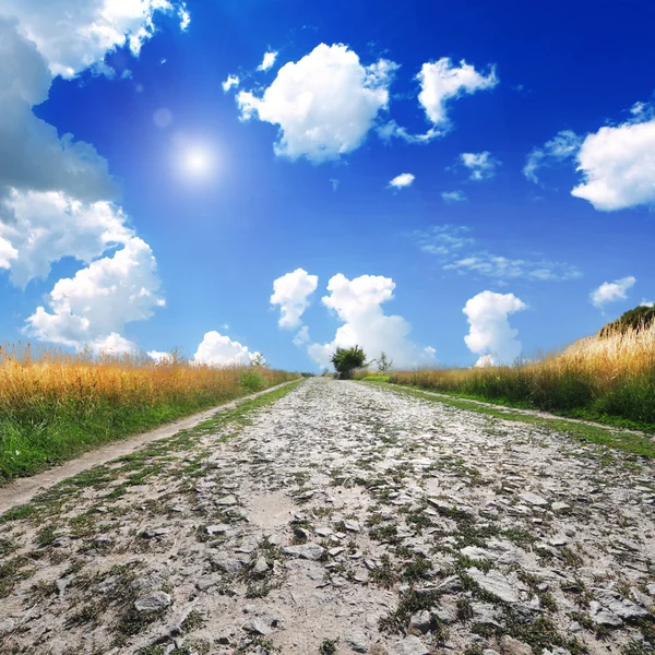Road in field with ripe  wheat — Stock Photo, Image