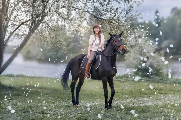 Flicka på svart häst i blossom trädgård — Stockfoto