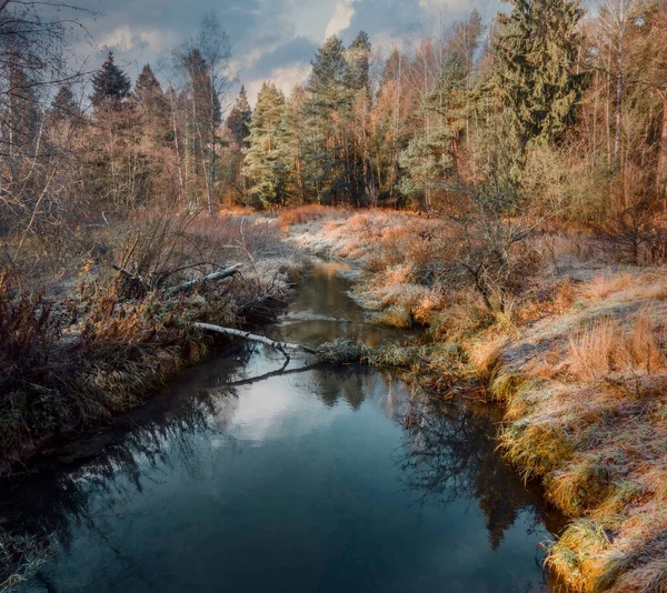 Vue Aérienne Petite Rivière Forestière Skalba Dans Région Moscou Russie — Photo