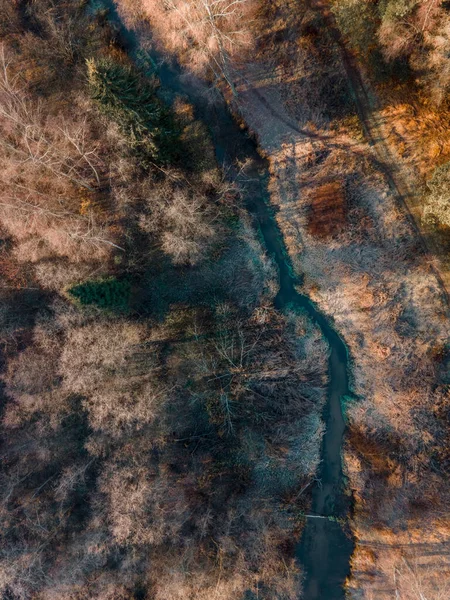 Vue Aérienne Petite Rivière Forestière Skalba Dans Région Moscou Russie — Photo