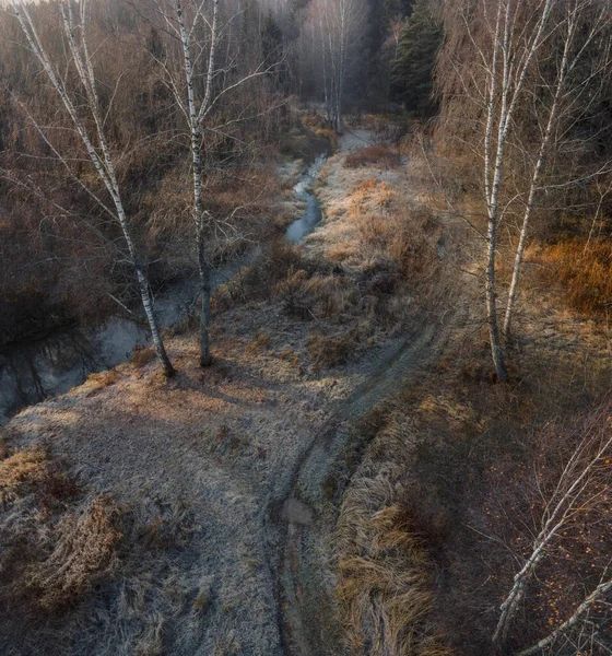 Vista Aérea Del Pequeño Bosque Del Río Skalba Región Moscú —  Fotos de Stock