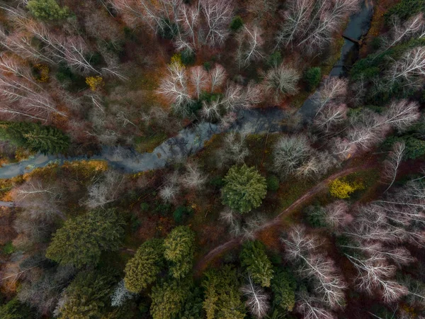 Veduta Aerea Del Piccolo Fiume Foresta Skalba Nella Regione Mosca Foto Stock