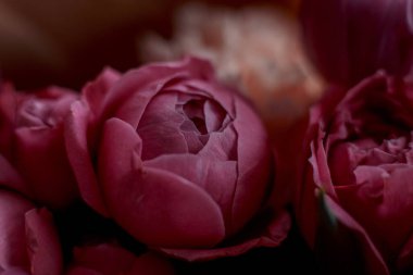 El işi kağıdında mor şakayık gülleri, karanfilleri ve laleleri olan bir buket güzel çiçek.