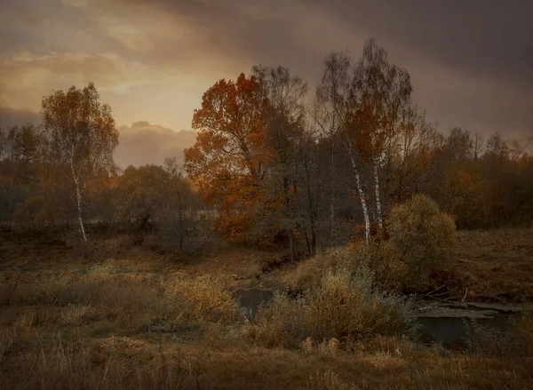 Paysage Automne Avec Rivière Coucher Soleil — Photo