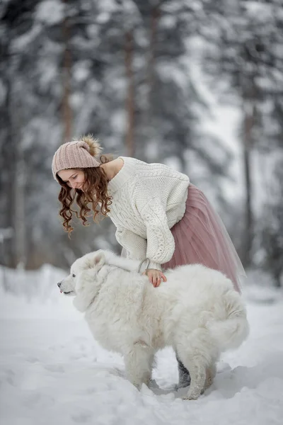 美丽的女人带着狗在冬天的森林里进行了采样 — 图库照片