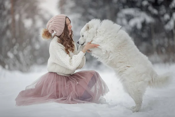 Mulher Bonita Com Cão Samoyed Floresta Inverno — Fotografia de Stock