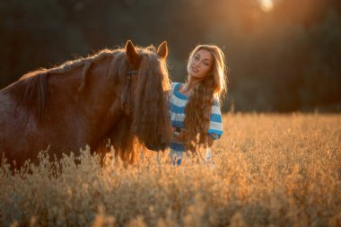 Beautiful long-haired young woman with red tinker horse in oats field at sunset