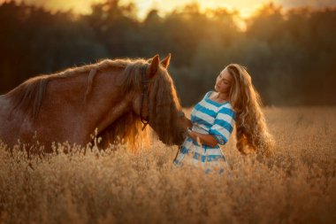 Beautiful long-haired young woman with red tinker horse in oats field at sunset