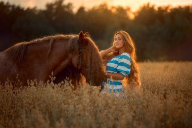 Beautiful long-haired young woman with red tinker horse in oats field at sunset