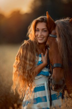 Beautiful long-haired young woman with red tinker horse in oats field at sunset