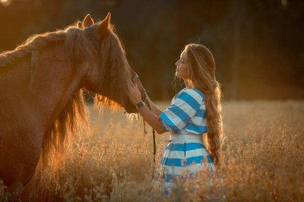 Hermosa Joven Pelo Largo Con Caballo Tintineo Rojo Campo Avena — Foto de Stock