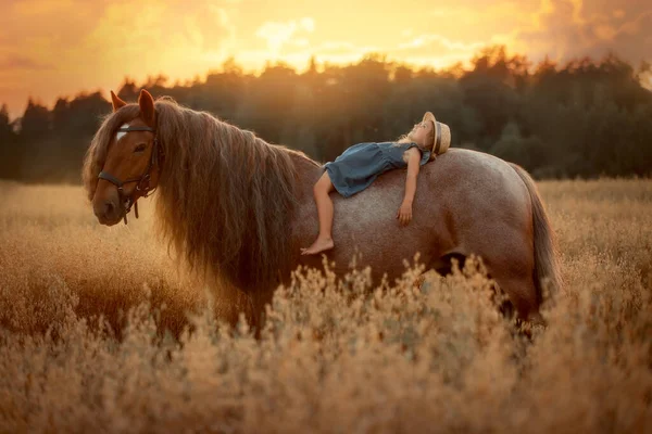 Little Girl Red Tinker Horse Gypsy Cob Oats Evening Field — Zdjęcie stockowe