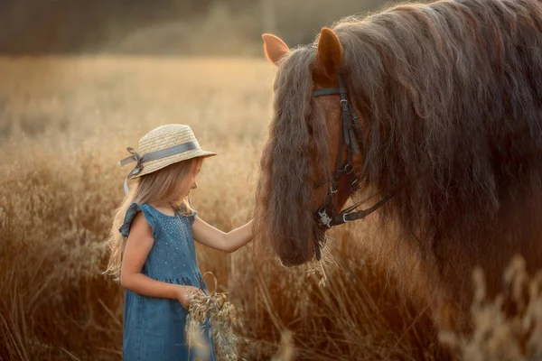 Little Girl Red Tinker Horse Gypsy Cob Oats Evening Field — Fotografia de Stock