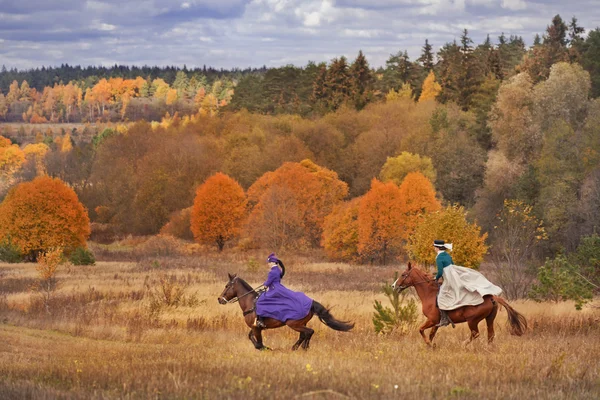 Häst-jakt med damer i ridning vana Royaltyfria Stockfoton