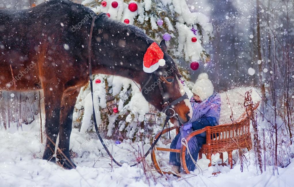 Christmas Horse Wallpapers  Top Free Christmas Horse Backgrounds   WallpaperAccess