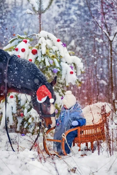 Weihnachtsmärchen — Stockfoto