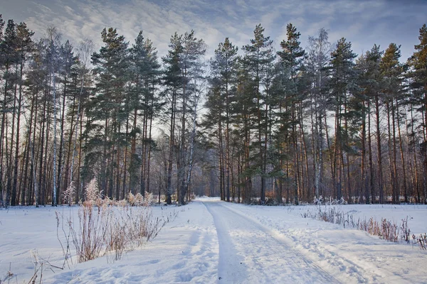 Paisaje invierno — Foto de Stock