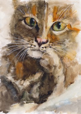 Suluboya kedi portresi
