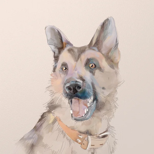 Retrato do cão pastor alemão — Fotografia de Stock