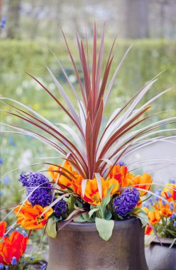 Güzel çiçek yatak