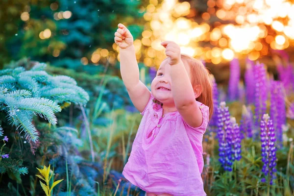 Liten flicka på ett fält — Stockfoto