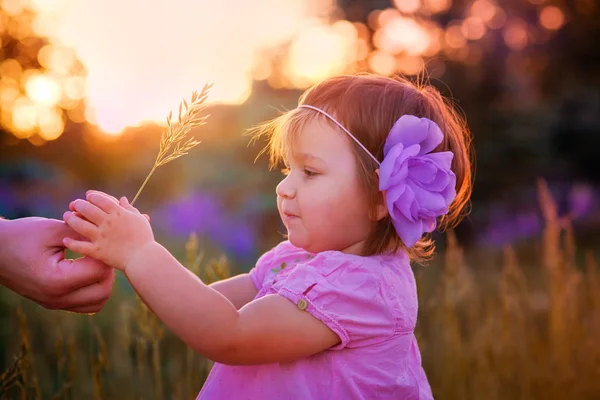 Klein meisje in een veld — Stockfoto