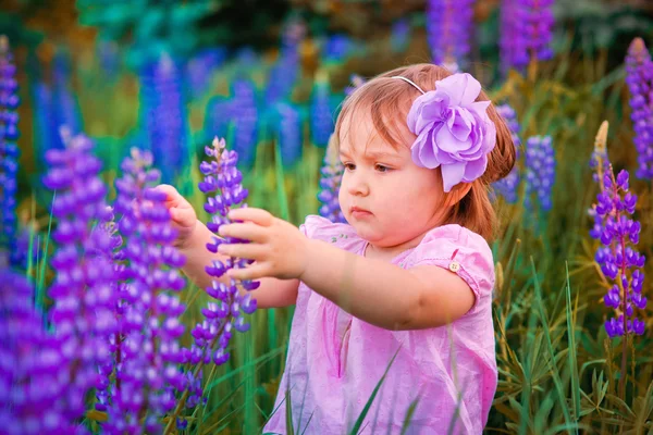Mała dziewczynka na polu — Zdjęcie stockowe