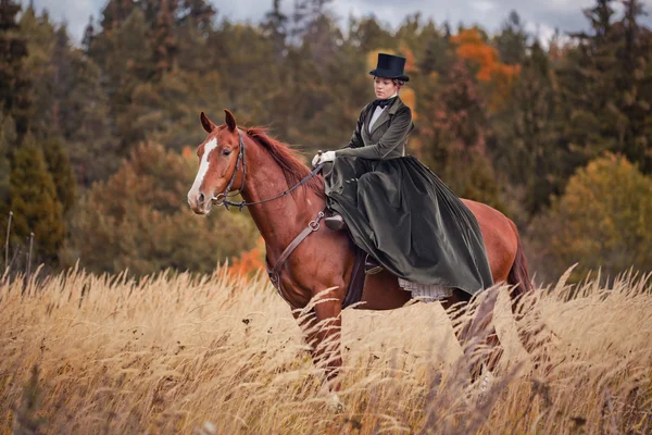 Historical reconstruction of  hounds hunting — Stock Photo, Image