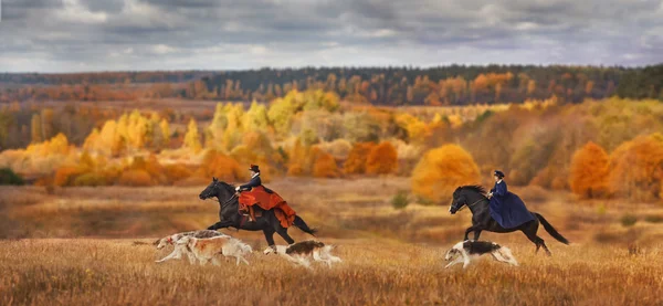 Historical reconstruction of  hounds hunting — Stock Photo, Image