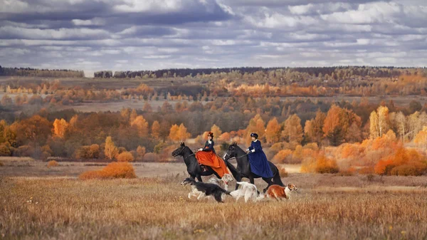 Tarihsel avcılık hounds inşası — Stok fotoğraf