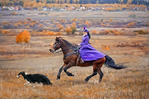 Senhora no habbit de equitação na caça de cavalos — Fotografia de Stock