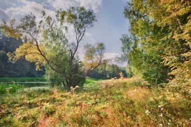 Nehirli yaz manzarası