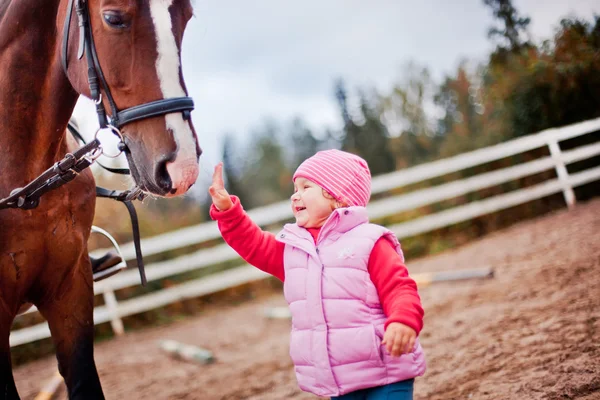 Criança com cavalo em paddok — Fotografia de Stock