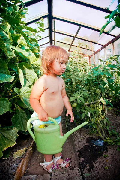 Litle girl z jabłek w ręce — Zdjęcie stockowe