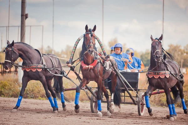 Campeonato de Rusia Troika Rusa — Foto de Stock