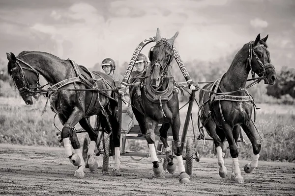 Mistrovství Ruska Ruská trojka — Stock fotografie