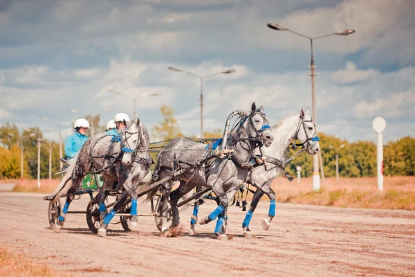 Mistrovství ruské trojky — Stock fotografie