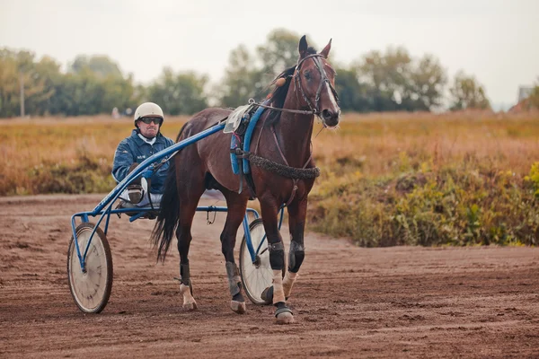 Carreras para los caballos razas de trote —  Fotos de Stock